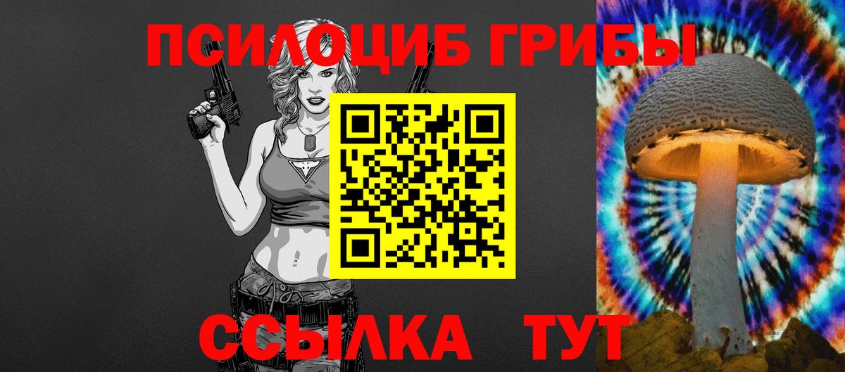 Псилоцибиновые грибы MAGIC MUSHROOMS Зеленогорск