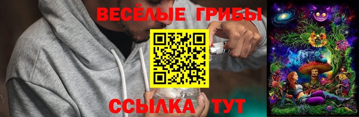 Галлюциногенные грибы прущие грибы  Вход с VPN  Зеленогорск 